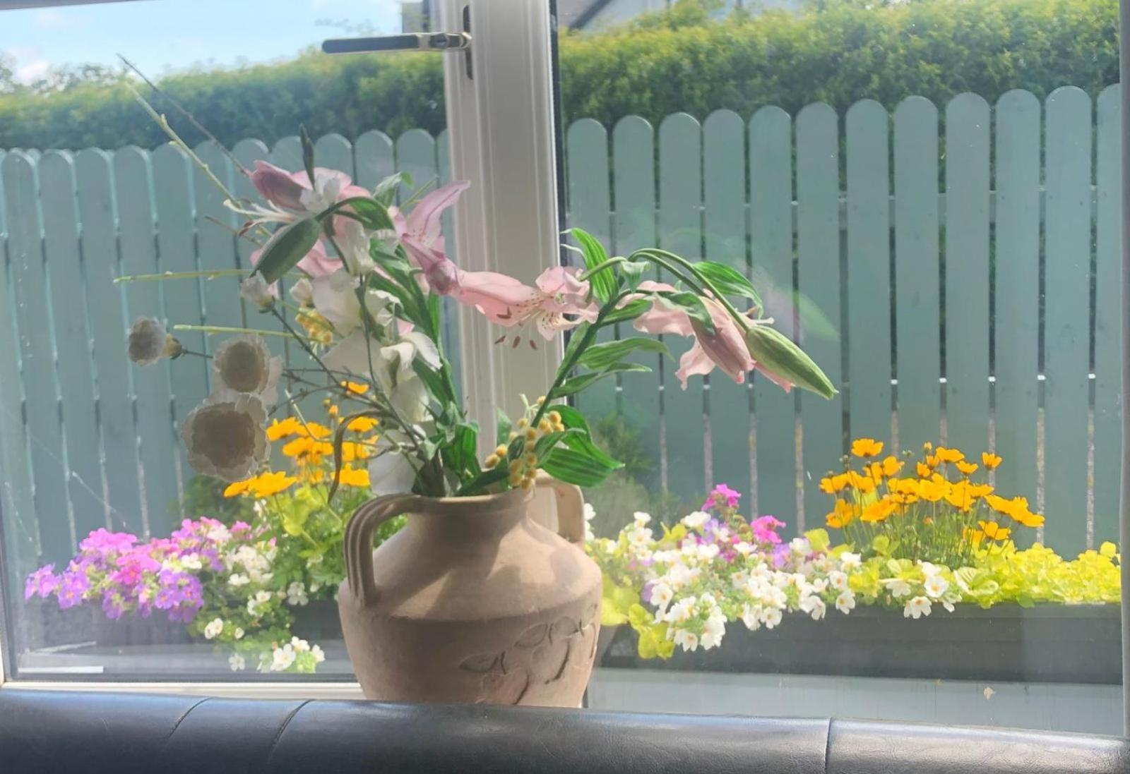 Swallow'S Rest Garden Apartment Ашбърн Екстериор снимка